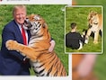 Familie van William (23) die stierf na tijgeraanval smeekt om te stoppen met beelden te delen nadat Trump video verspreidt