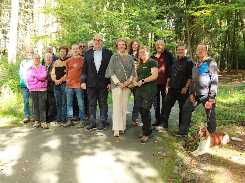 Nieuw beheerplan moet 55 hectare bos in provinciedomein Huizingen wapenen tegen klimaatverandering