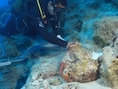 Oudste scheepswrak ter wereld ontdekt voor Turkse kust: tussen de 4.400 en 4.700 jaar oud