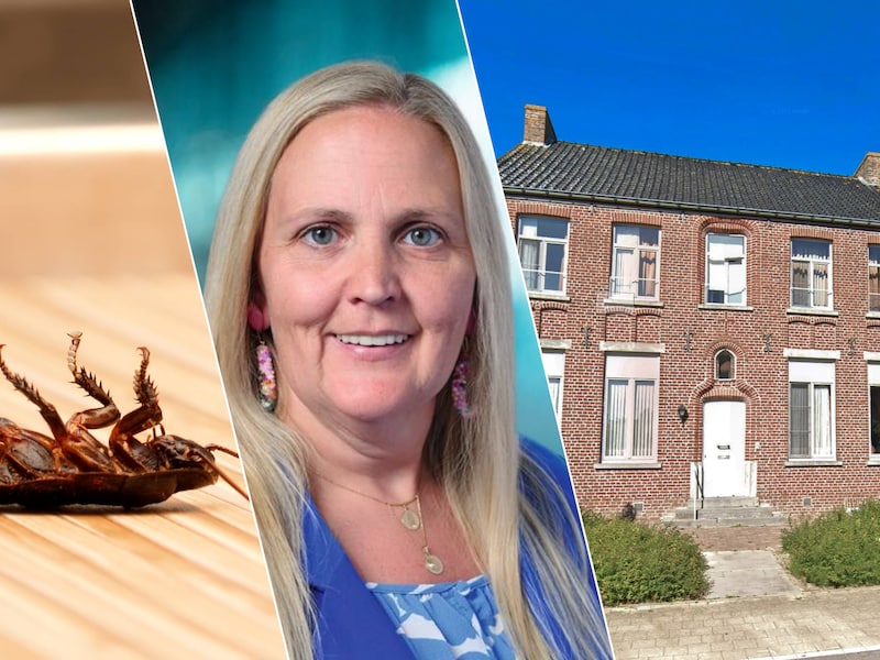 Koekelare sluit na 25 jaar asielopvang in Bovekerke, maar debat ontploft over verzwegen kakkerlakkenplaag: “Waarom mocht dit niet geweten zijn?”