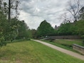 Vrouw (61) kritiek nadat boom op haar valt in park in Bilzen