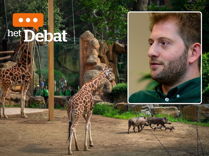 “Stadsbestuur moet zich verzetten bij Vlaamse regering”: Antwerpse politiek over besparingen op de Zoo