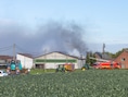 Koeien geëvacueerd uit brandende stal in Zwevezele: dikke rookpluim tot ver in de omgeving zichtbaar