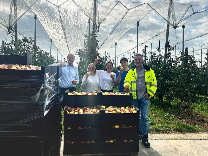 ALDI-medewerkers plukken 1,3 ton appelen voor Limburgse Voedselbanken: “Gezonde snack voor gezinnen die het moeilijk hebben”