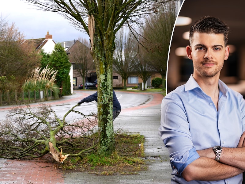 Rukwinden tot meer dan 100 km/u verwacht: onze weten­schaps­ex­pert vertelt hoe je jezelf en je huis stormklaar maakt