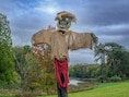 Plantentuin Meise opent na zonsondergang de deuren voor Halloweenparcours