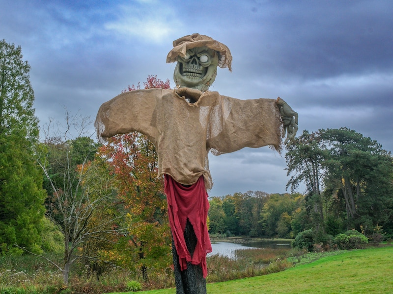 Plantentuin Meise opent na zonsondergang de deuren voor Halloweenparcours