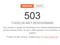 Gemeente haalt website van bib offline na beveiligingslek