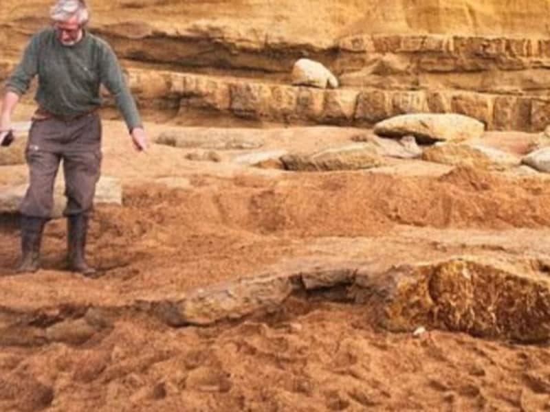 Belgisch koppel botst tijdens strandwandeling per toeval op resten van 174 miljoen jaar oud zeereptiel