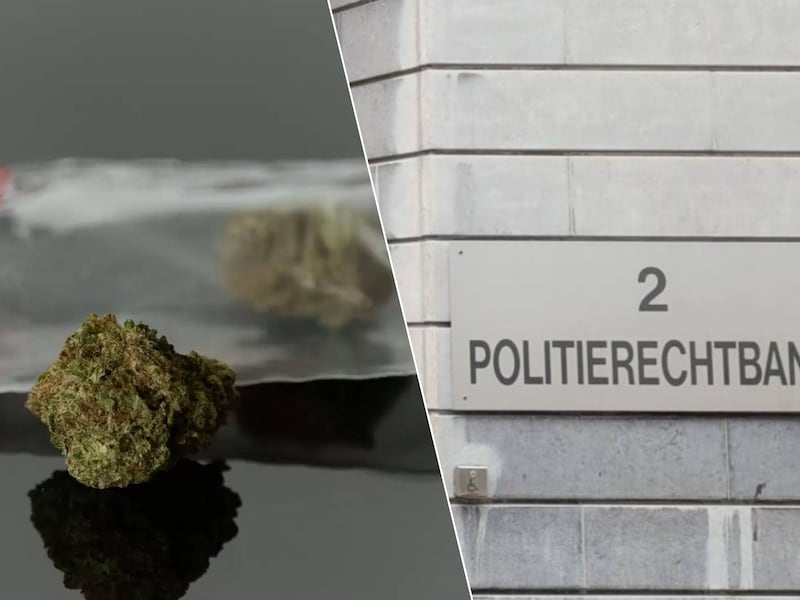 Bestuurder schiet zichzelf in de voet met opvallende bekentenis in rechtbank: procureur stuurt politie op hem af na zitting