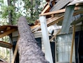 De windsnelheid kan een cruciale rol spelen: ben je goed verzekerd bij schade aan je woning of auto door stormweer?