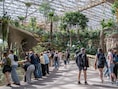 Pairi Daiza investeert 200.000 euro om 50 hectare Ecuadoraans vlinderbos te beschermen: “Vlinderrijkdom bedreigd door ontbossing”