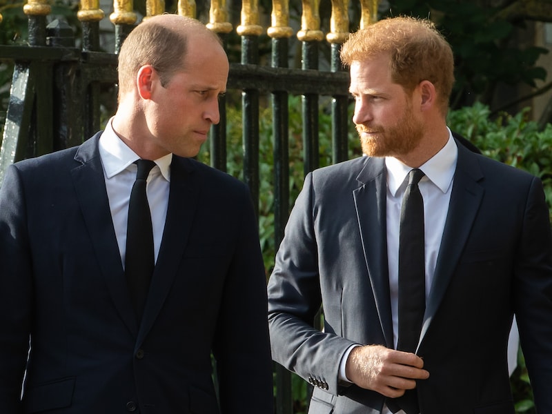 Prins Harry roept opnieuw op tot verzoening met broer William: “Ik wil dat het goedkomt”