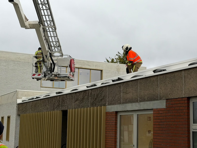 Dak van Spanjeschool in Ardooie komt los door storm Austen: 176 leerlingen in veiligheid gebracht