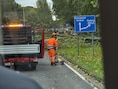 Omgewaaide boom zorgt voor verkeershinder op Europalaan in Genk: al tiental meldingen van afgebroken takken en bomen in Oost-Limburg