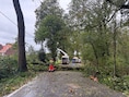 De Tiegemberg in Anzegem is afgesloten door een omgevallen boom.
