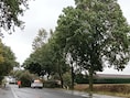Brandweerzone Vlaamse Ardennen kreeg al 120 oproepen: “Vooral omgevallen bomen en losgewaaide dakpannen”