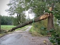 Afgebroken bomen, loshangende dakplaten en een weggewaaid dak: storm Austen houdt Limburgse brandweer bezig