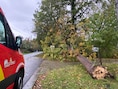 Storm Austen zorgt voor 150 interventies in Brandweerzone Rivierenland: “Ploegen hebben enorm hard gewerkt”