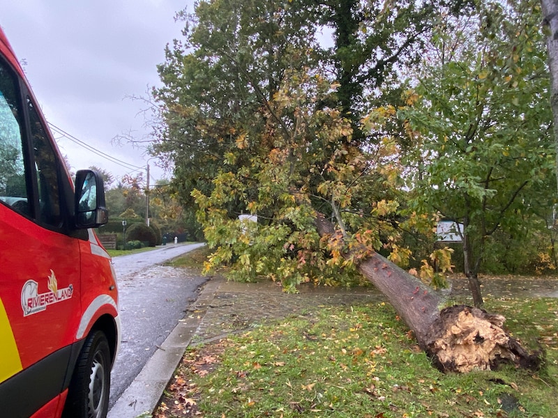 Storm Austen zorgt voor 150 interventies in Brandweerzone Rivierenland: “Ploegen hebben enorm hard gewerkt”