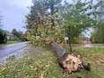 Storm Austen bereikt Mechelse regio: “Al 127 interventies gelinkt aan de storm”