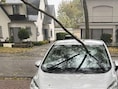 Storm Austen rukt tak uit boom en doorboort voorruit van geparkeerde wagen in Niel