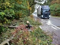 Bomen op de rijweg, afgebroken takken en wateroverlast: ook storm Boelo houdt brandweerzones bezig