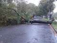 Storm Austen teistert Gent en omgeving: 219 brandweerinterventies, chauffeur ontsnapt aan drama