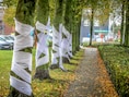 Bomenrij in Uitkerke kreeg  halloweendecoratie