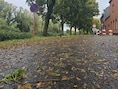 Oude Vaartstraat in Ieper ligt bezaaid met bladeren en takken na stevige windstoten