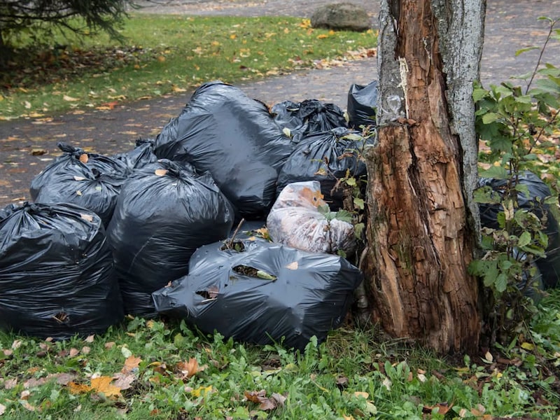 Gemeenschapswachten pakken hardnekkige sluikstorters in Belse Bossen aan