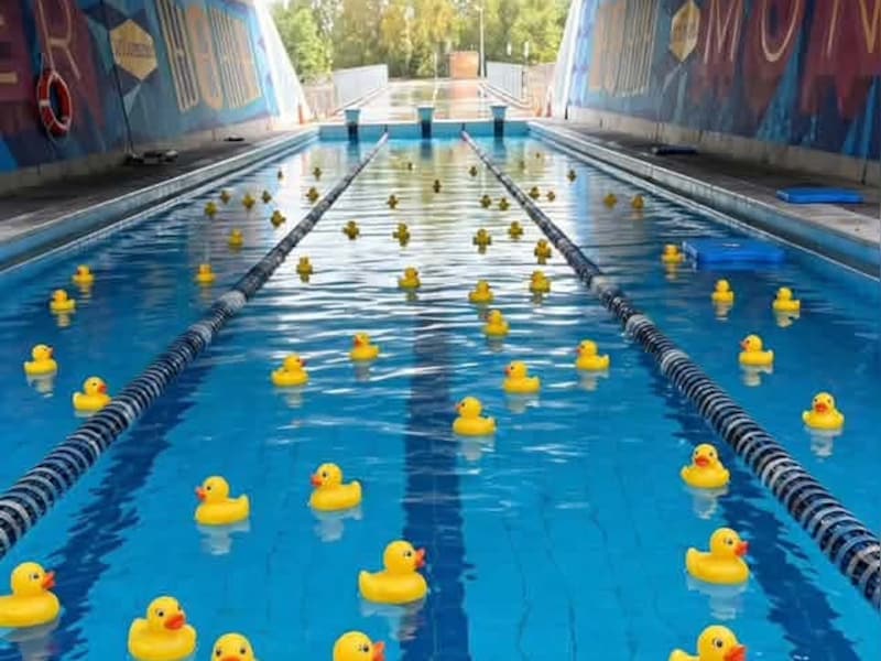 Dendermondenaren drijven spot met onder water gelopen fietstunnels: Van scène uit Titanic tot nieuw stedelijk zwembad