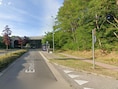 Vrouw (27) zwaargewond na klap tegen boom in Genk