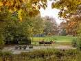 Stad Geel sluit speelpleinen, parken en begraafplaatsen wegens storm Austen