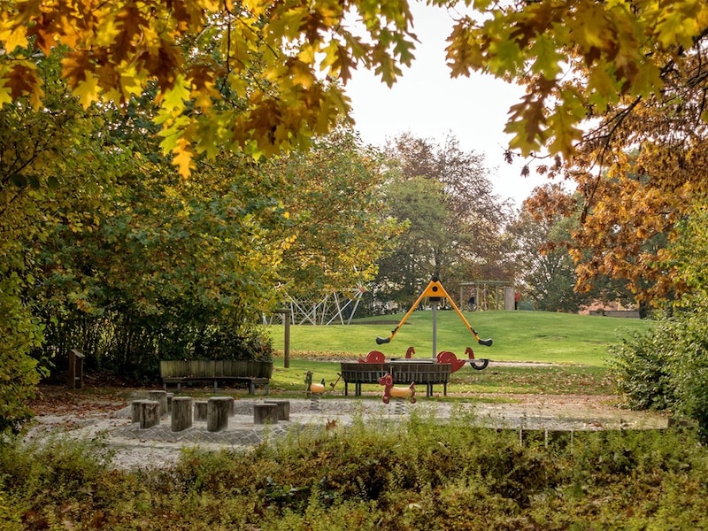 Stad Geel sluit speelpleinen, parken en begraafplaatsen wegens storm Austen