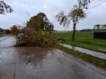 Interventies blijven binnenlopen bij Brandweer Westhoek: vooral omgewaaide bomen