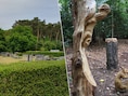 Opening natuurbegraafplaats Terra Nova in Grobbendonk uitgesteld door stormweer