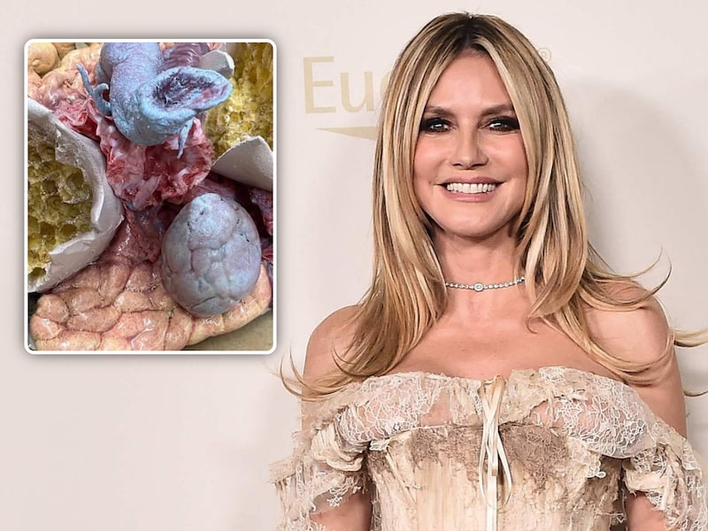 “Nog minder dan een week te gaan”: Heidi Klum deelt eerste glimp van haar halloweenkostuum