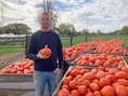 Teler Jurgen uit Ninove redt 3.300 kilo ‘te kleine’ pompoenen met Halloween-actie: “Blij dat ze nu toch een bestemming krijgen”