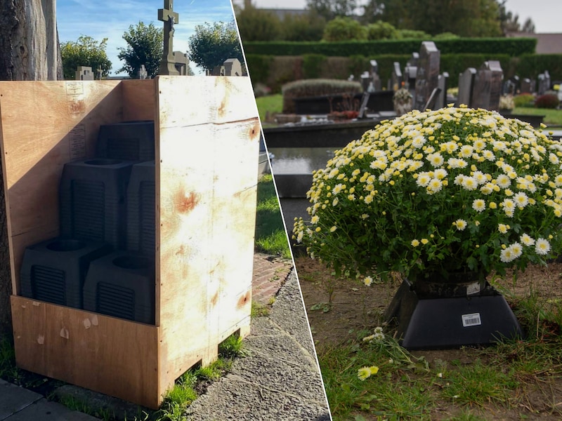 Veurne verdeelt 5.000 chrysantenhouders om gras op begraafplaatsen te beschermen