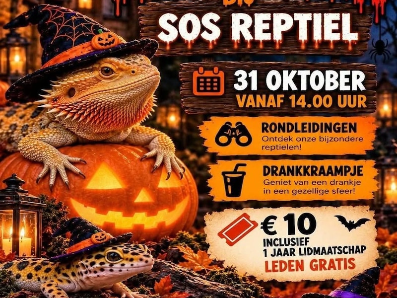 Halloween bij SOS Reptiel op zaterdag 31 oktober