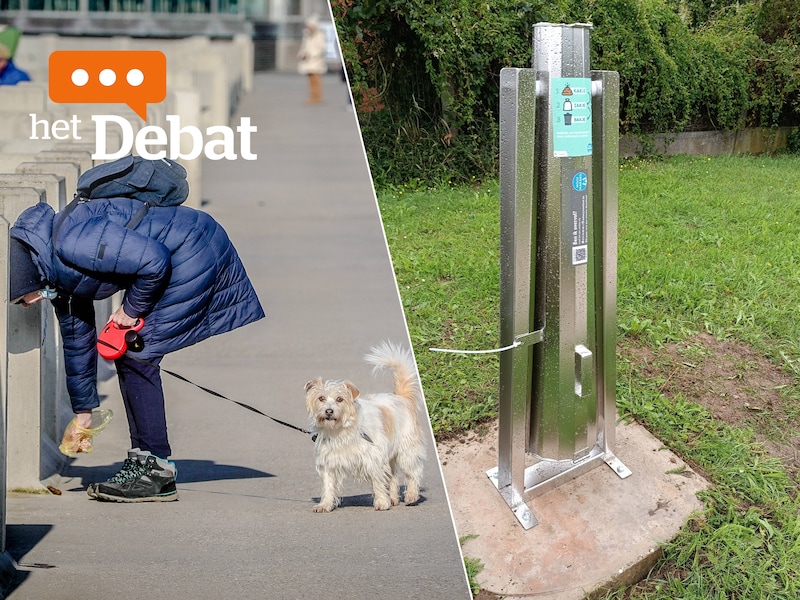 “Soms wandelen we 10 km of meer zonder één bank tegen te komen”: wandelaars in Erpe-Mere vragen extra rustpunten, maar zijn verdeeld over vuilnisbakken