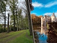 Deel van beukendreef rond kasteel van Vorselaar afgesloten door onveilige bomen