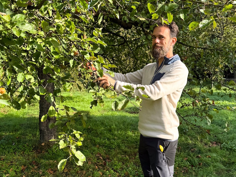 Vrijwilligers gezocht om historische fruitgaard aan kasteel Meylandt nieuw leven in te blazen