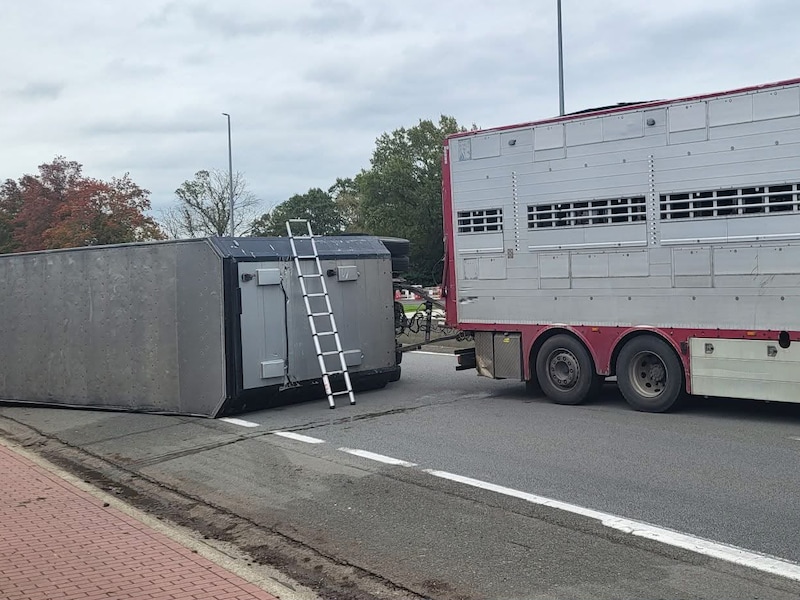 Oplegger met vijf stieren kantelt om op kruispunt in Knesselare