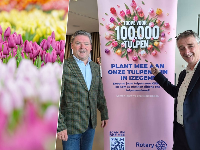 Koop eens een vierkante meter lente: Rotaryclub Izegem plant 100.000 tulpen voor het goede doel