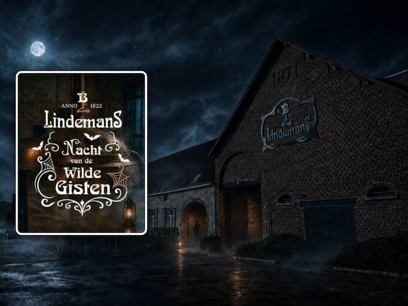 Brouwerij Lindemans opent na sluitingstijd voor mysterieuze Halloweentour door eeuwenoude kelders