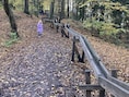 Crowdfunding voor reuze-knikkerbaan bij De Lork: “Knikkers gaan 100 meter de berg af”