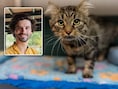 Wilde katten die in Zaventem van straat geplukt worden, kunnen binnenkort geadopteerd worden: “Blij dat we eindelijk een doorbraak hebben”