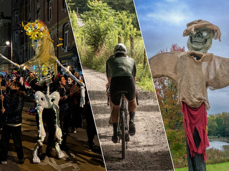Wat te doen dit weekend in Brussel, de Rand en het Pajottenland? Griezeltocht tussen de planten of kleurrijke Mexicaanse dodenstoet